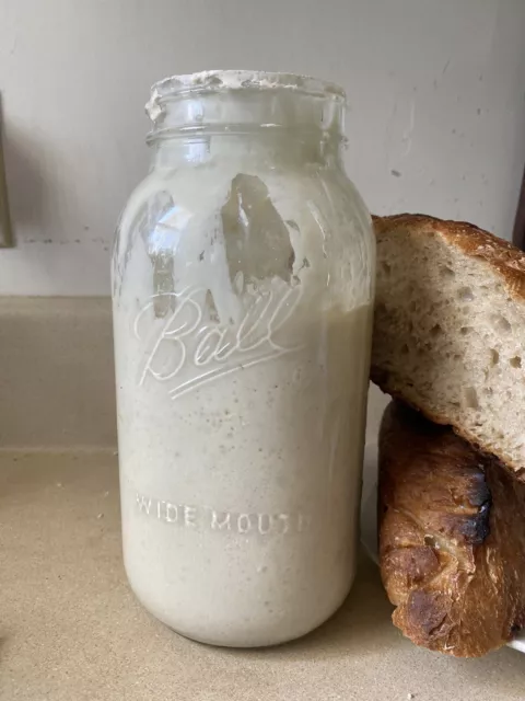 Ultra-Active Fresh Sourdough Starter - Boost Your Baking To The Next Level!