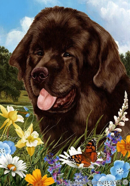 Summer Garden Flag - Chocolate Newfoundland 189101