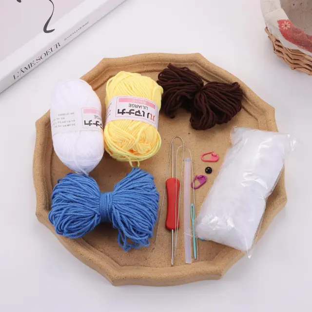 Crochet Kit for Beginners, 107 Pcs Complete Beginners Crochet Kit Knitting  Kit for Adults Including Yarn, Crochet Hooks, Plastic Large Eye Needle