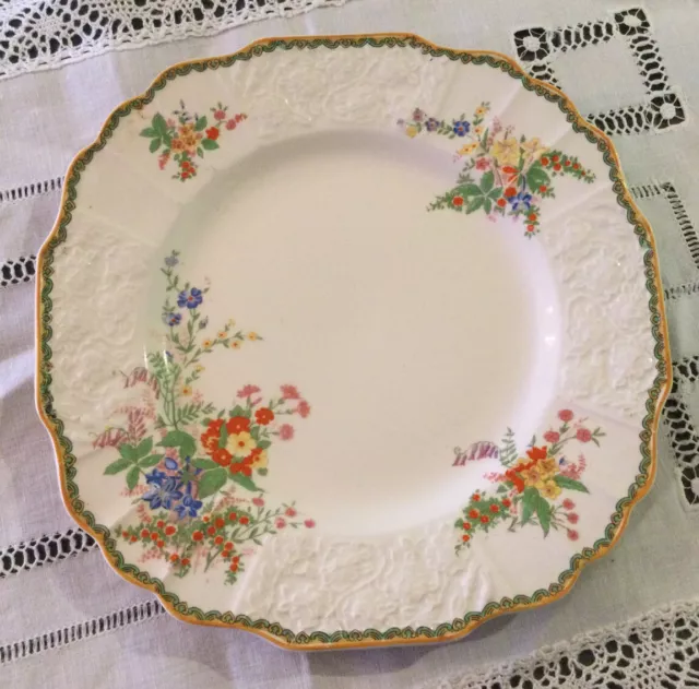 Pretty Myott “Devon” 22cm Small Dinner Plate. Staffordshire 🌿ENGLAND.🌼🌸🌿