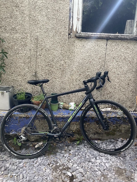 whyte dorset for sale