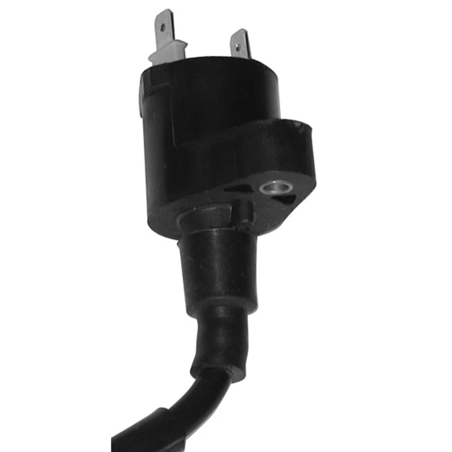 Bobina At Esterna 12V C.a. Piaggio 125 For Vespa Lxv  2006-2009