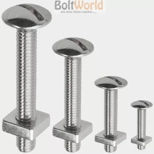 A2 Stainless Steel Slotted Roofing Roof Bolts Sqaure Nuts Mushroom Machine Screw