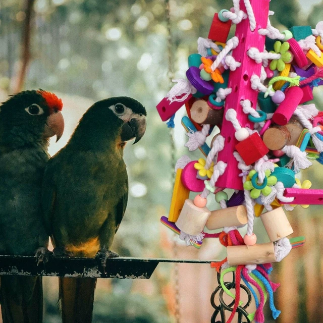 bird block knots 2x Vogel Block Knoten Ara Blöcke Budgie Kauen Spielzeug Papagei 4