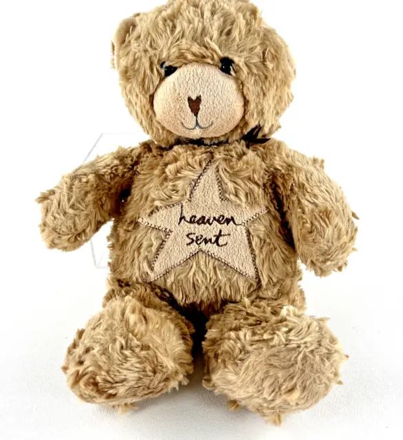 Messages From Heart Tan Bear Soft Plush Heaver Sent Sandra Magsamen 12" Stuffed