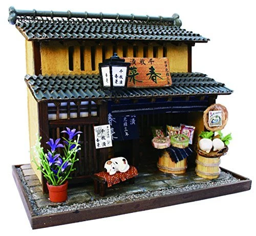 Billy dolls store house kit