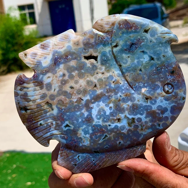 336G  Amazing Natural Ocean Jasper Crystal Carved Fish Jasper Halo Stone