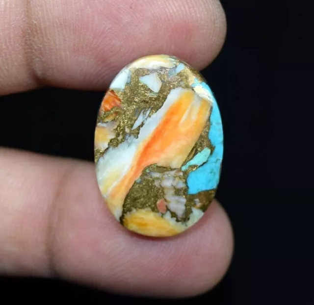 24.25 Cts. Natural Mohave Spiny Oyster Copper Turquoise Cabochon Loose Gemstone