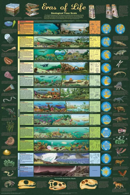 Eras of Life Educational Poster 24.5x36.5 - Laminated