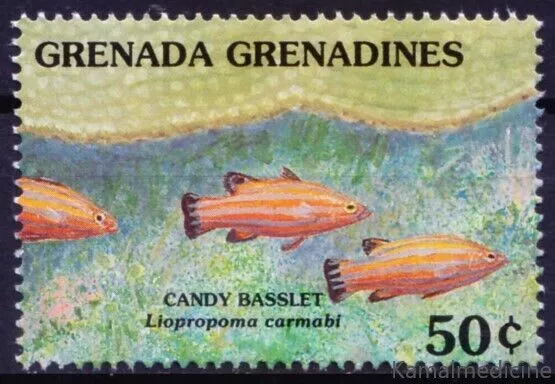 Grenada Grenadines 1991 MNH, Candy basslet, Marine Life, Fish [HS]