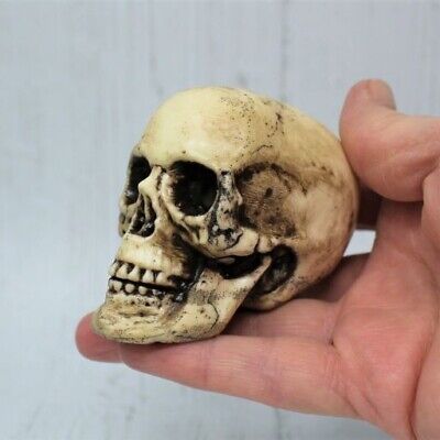 Skull Ivory Detailed Gothic Figurine 80mm Birthday Xmas Stocking Filler Gift