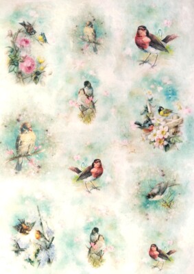 Rice Paper for Decoupage  Scrapbooking Sheet Craft Romantic Birds Mix U/46 ART 