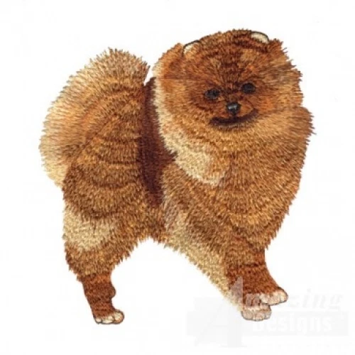 Embroidered Ladies Jacket - Pomeranian AD016  Sizes S - XXL