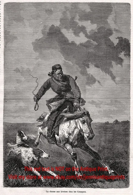 Dog Borzoi Russian Wolfhound Rabbit Hunt, 1875 Antique Engraving Print