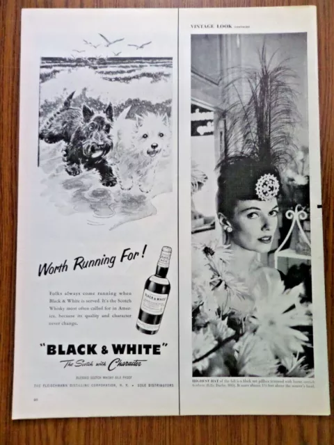 1956 Black White Scottish Scotty Terrier Westie Ad Ocean Beach Swimming