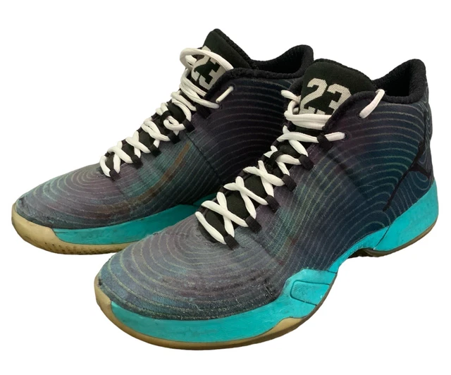 レブロン21 29.0cm Trainers, Men's Shoes, Men, Clothes, Shoes & Accessories