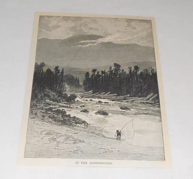 1895 Rivista Incisione ~ Nel Adirondacks, New York