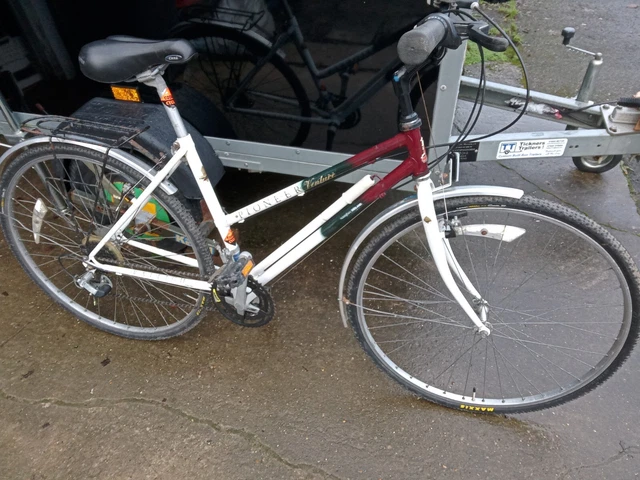 Raleigh sales pioneer venture