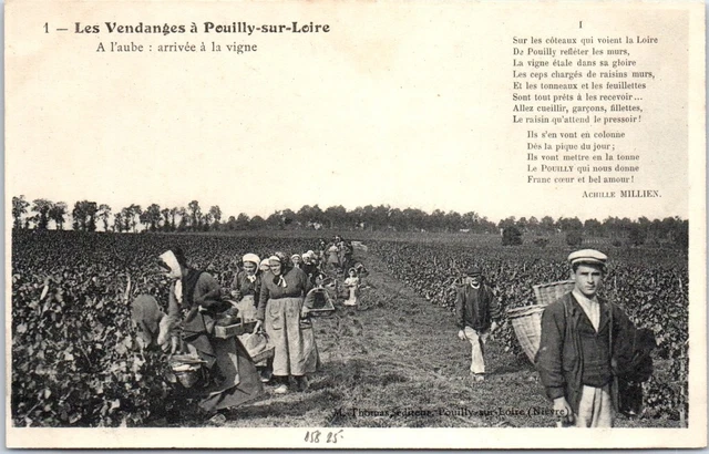 58 POUILLY SUR LOIRE - les vendanges - arrivee a la vigne