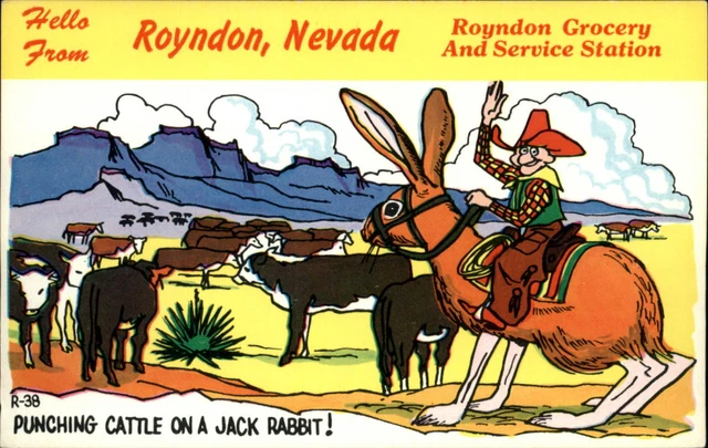 Royndon Nevada ~ comic Jack Rabbit cattle ~ Grocery Service Station postcard