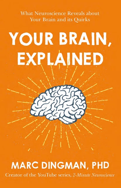 YOUR BRAIN EXPLAINED: What Neuroscience Reveals about Your Brain and ...