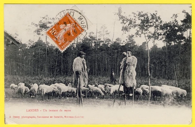 CPA Ancienne - Agriculture Les Paysans De France, La Garde Du Troupeau - Calvados 14