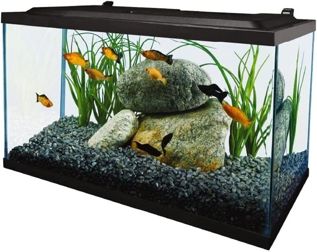 Tetra Complete LED Aquarium 10 Gallons, LED Lighting, Filtration and Accessories