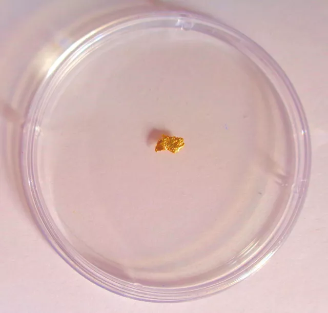 GROSSES ALASKA/YUKON GOLDNUGGET | L 3,8mm B 2,6mm | 0,05g | GESCHENK / ANLAGE !