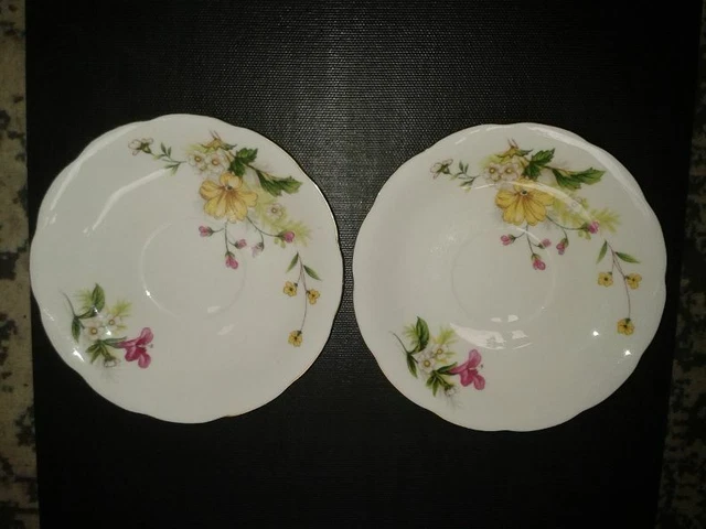 ROYAL WESSEX Clementine Pattern Tang Shan Fine Bone China