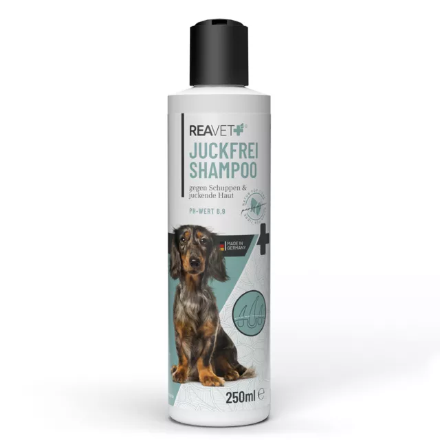 REAVET Hunde Shampoo gegen Schuppen & Juckreiz, trockene Sensible Haut