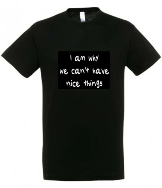 I AM WHY WE CAN'T HAVE NICE THINGS T Shirt Novelty Funny Joke Gift