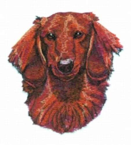 Embroidered Ladies T-Shirt - Dachshund BT3987