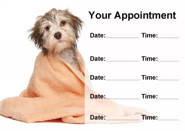 Wet Dog Groomer Grooming Personalised Appointment Cards