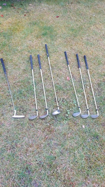 Golf Eisensatz Damen mit Trolley und Bag