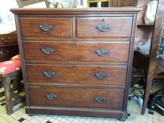 Commode 1850  Walnut Chest Of Drawers Estamped JAS Shoolbred Mahogany