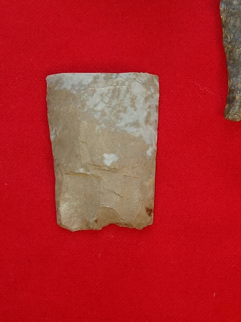 👉Great Thin Kentucky Transitional Paleo Agate Basin Arrowhead Base Guaranteed👈