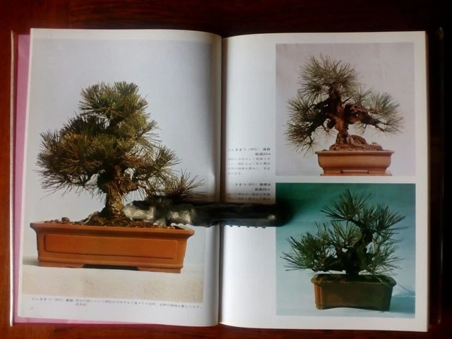 MÉTHODES DE MISE en forme et d'appréciation des bonsaïs Nagaoka Shoten ...