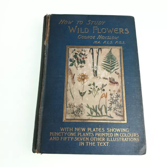 How to Study Wild Flowers George Henslow 1908 Hardback Book