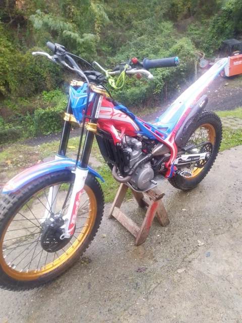 beta evo 300 4 t