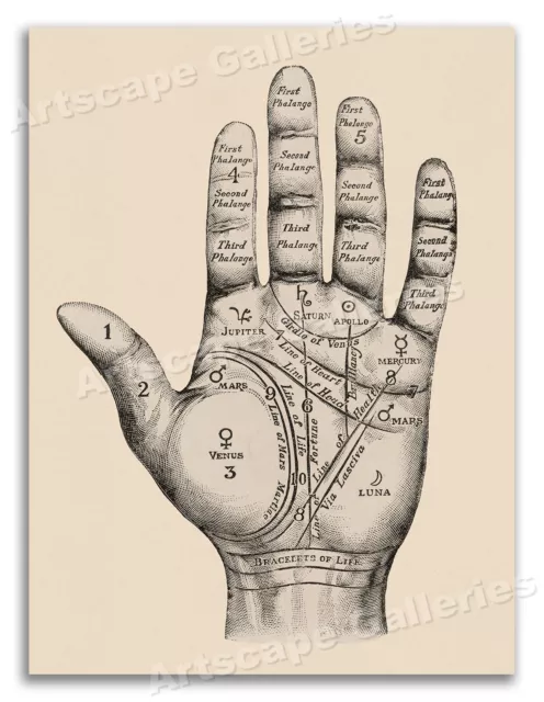 Unusual Vintage Style Palmistry Chart Art Print - 18x24