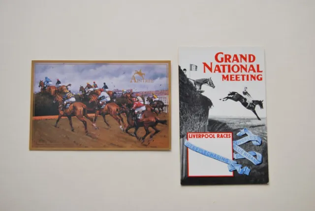 1950s & 1990s GRAND NATIONAL POSTCARDS - AINTREE RACECOURSE