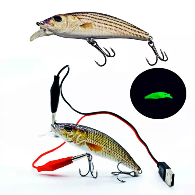 https://www.picclickimg.com/g3AAAOSwHNZh3AY7/38Electric-Fishing-Lures-Bait-USB-Rechargeable-Green-LED.webp