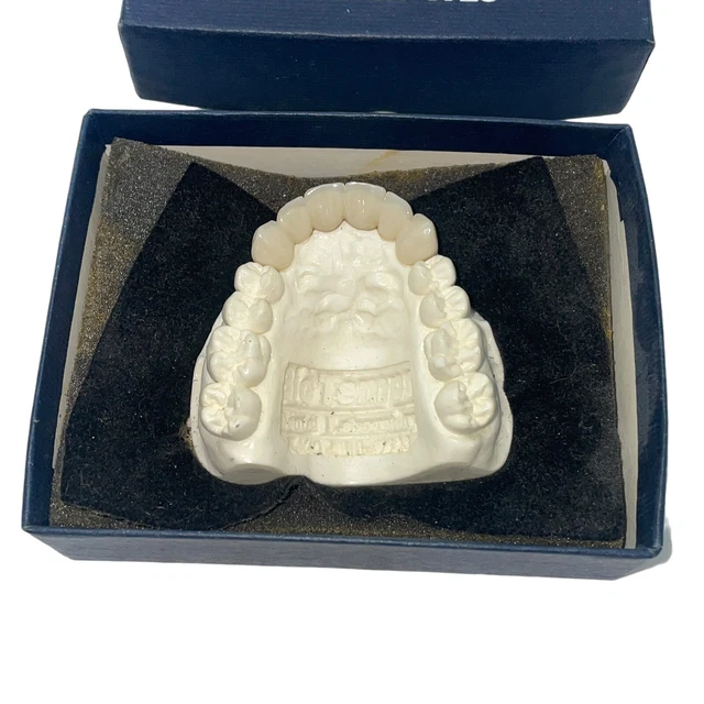 Vtg Patient Presentation Model  BioTemps Dental False Teeth Dentures Laboratory