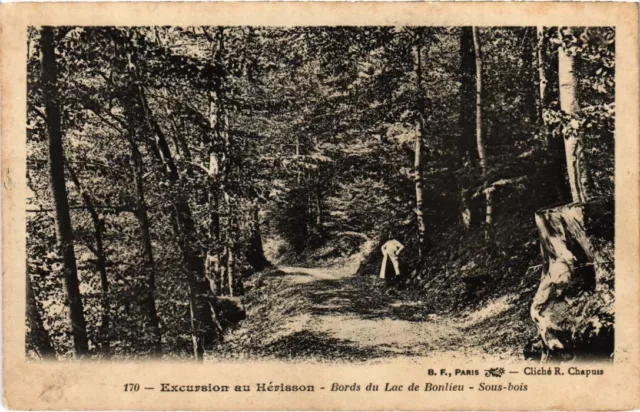 CPA Excursion au Herisson, Bords du Lac de Bonlieu FRANCE (1043987)