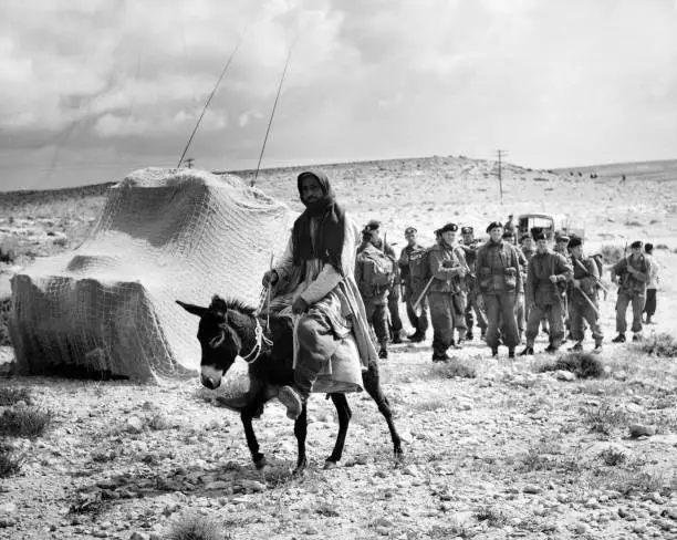 War In The Western Desert Of Libya 1955 Old Photo