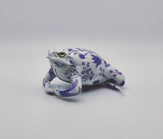 Cane Toad