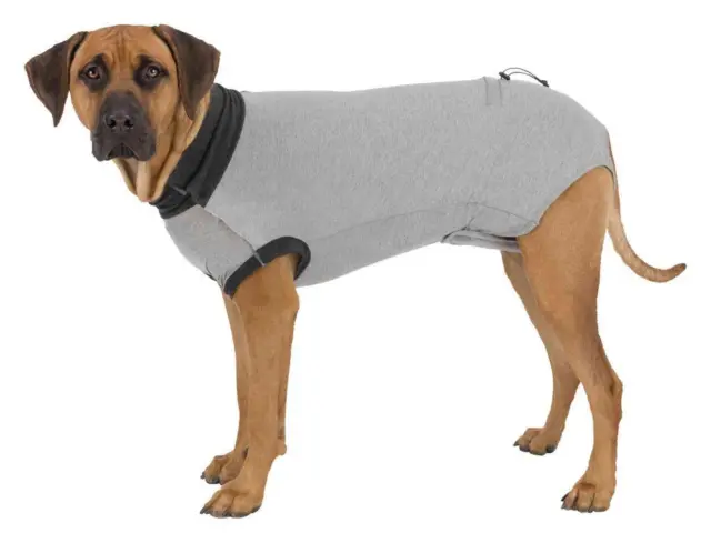 Trixie OP-Body grau Hunde Hunde-OP Hundegesundheit Hundebody Leckschutz 2