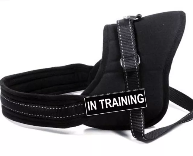 Black Dog Harness Walking Service Dog Vest Handle Padded Sports Dog Harness Set