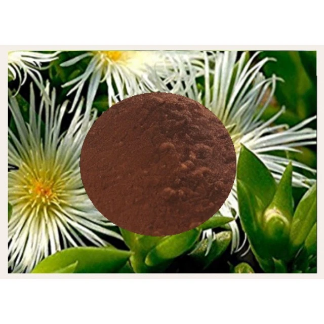Kanna Extract (Sceletium Tortuosum) 20:1 | 25g - Foto 2