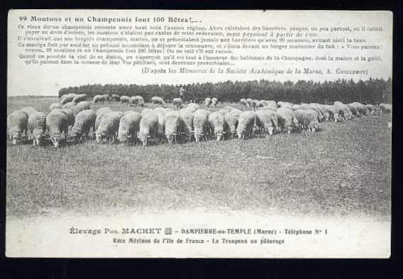 Dampierre  Le Berger Et Les Moutons   400  Etc